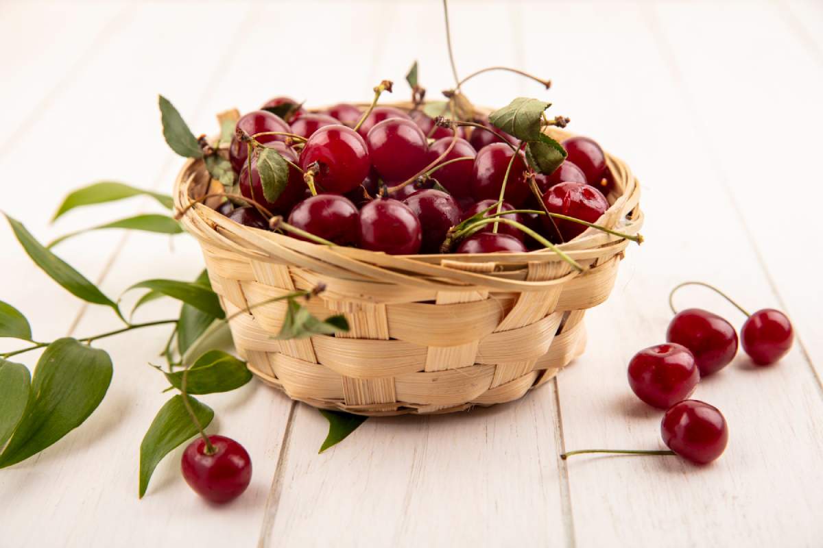 صبحانه برای یک هفته سرکار